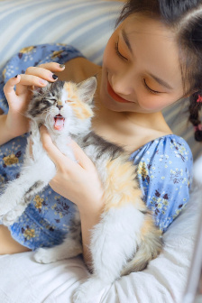 闯关东多少集